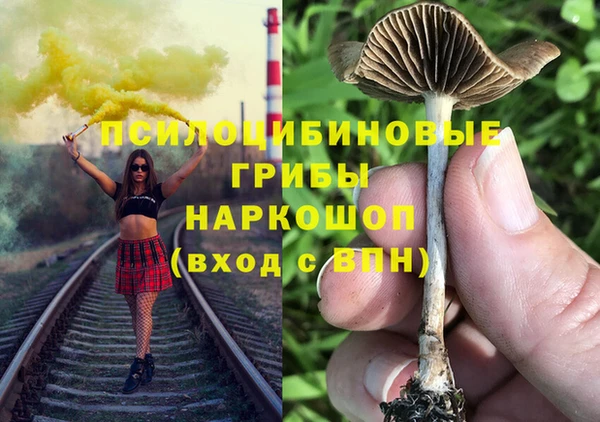 бошки Мегион