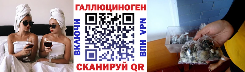 Псилоцибиновые грибы Psilocybe  Приволжский 